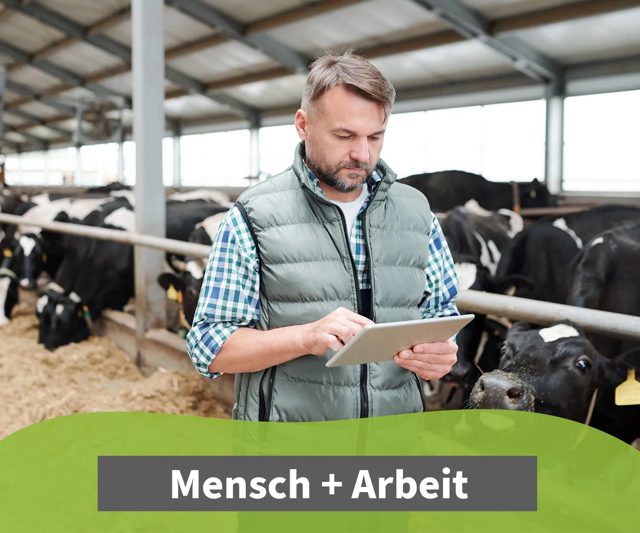 Kategorie Mensch-Arbeit